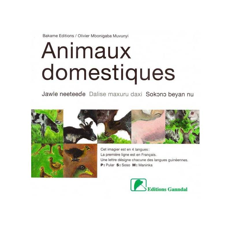 Animaux domestiques - Jawle neeteede - Dalise maxuru daxi - Sokono beyan nu