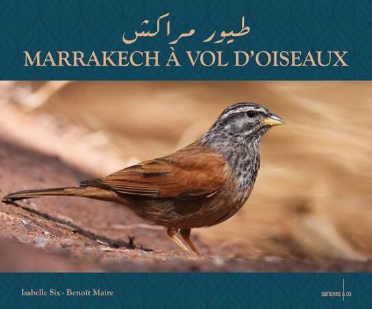 Marrakech à Vol d’Oiseaux