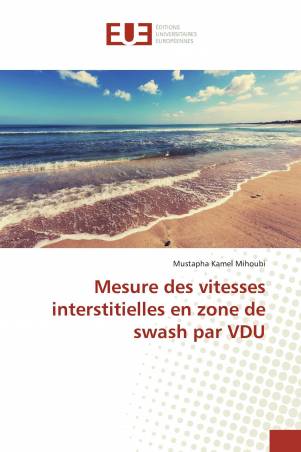 Mesure des vitesses interstitielles en zone de swash par VDU