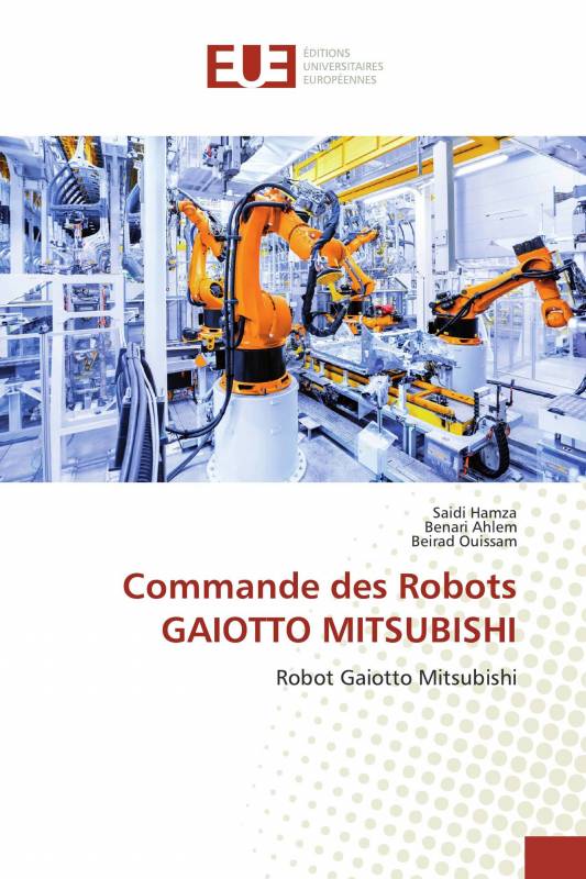 Commande des Robots GAIOTTO MITSUBISHI