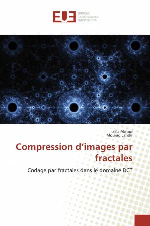Compression d’images par fractales