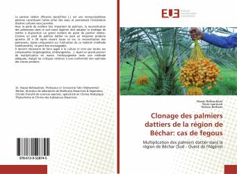 Clonage des palmiers dattiers de la région de Béchar: cas de fegous