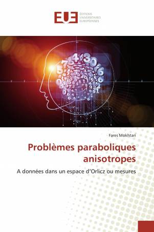 Problèmes paraboliques anisotropes