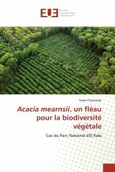 Acacia mearnsii, un fléau pour la biodiversité végétale