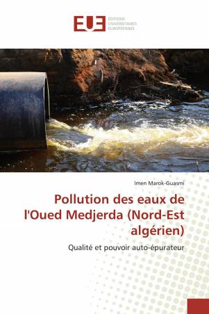 Pollution des eaux de l'Oued Medjerda (Nord-Est algérien)