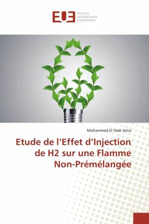 Etude de l’Effet d’Injection de H2 sur une Flamme Non-Prémélangée