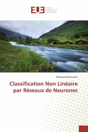 Classification Non Linéaire par Réseaux de Neurones