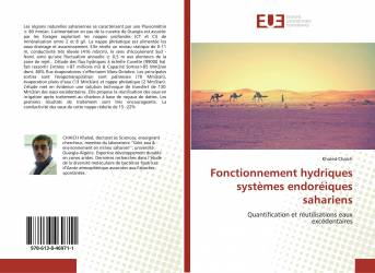 Fonctionnement hydriques systèmes endoréiques sahariens