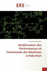 Amélioration des Performances et Commande des Machines à Induction