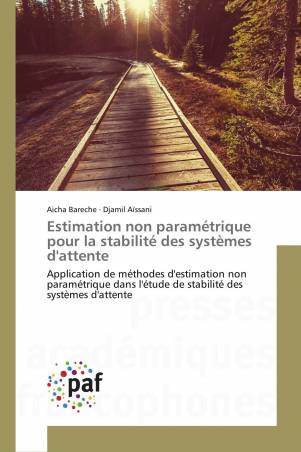 Estimation non paramétrique pour la stabilité des systèmes d'attente