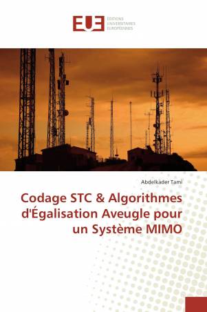 Codage STC & Algorithmes d'Égalisation Aveugle pour un Système MIMO
