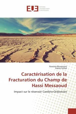 Caractérisation de la Fracturation du Champ de Hassi Messaoud