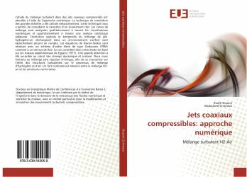 Jets coaxiaux compressibles: approche numérique