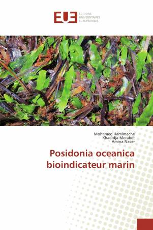Posidonia oceanica bioindicateur marin