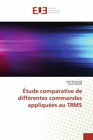 Étude comparative de différentes commandes appliquées au TRMS
