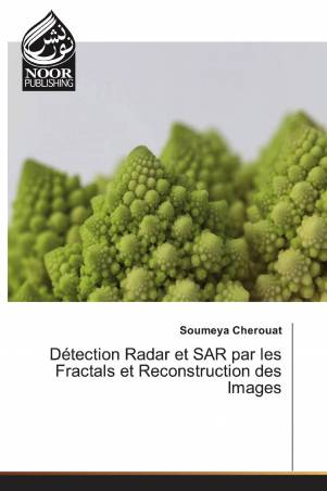 Détection Radar et SAR par les Fractals et Reconstruction des Images