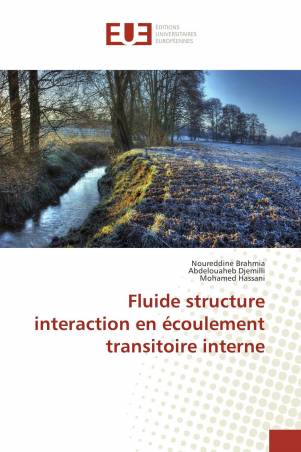 Fluide structure interaction en écoulement transitoire interne