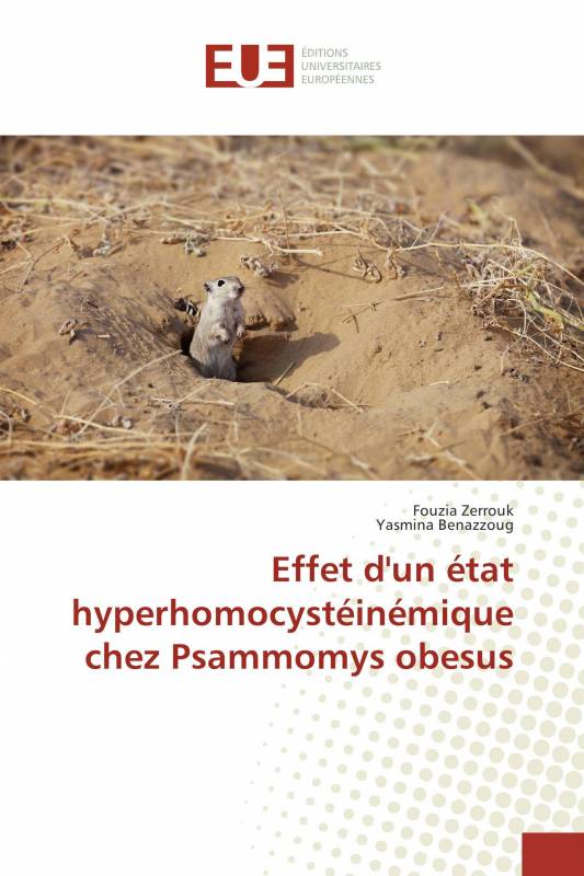 Effet d'un état hyperhomocystéinémique chez Psammomys obesus