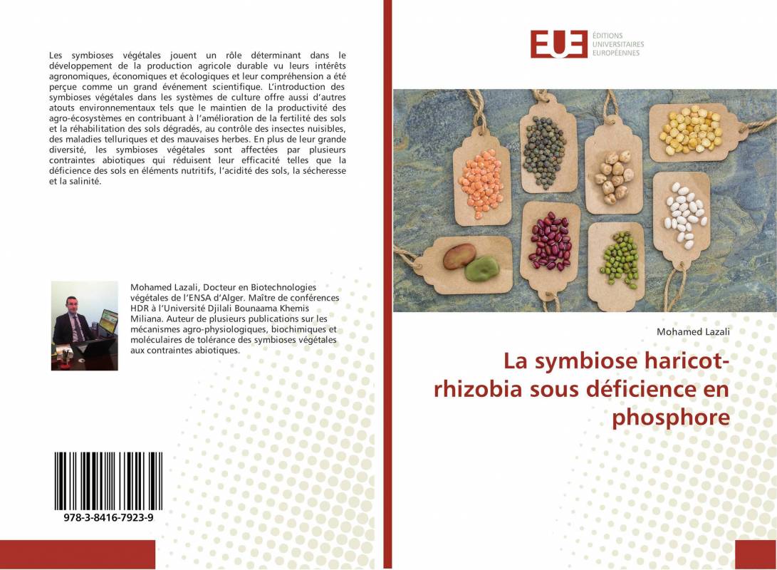 La symbiose haricot-rhizobia sous déficience en phosphore