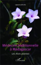 Médecine traditionnelle à Madagascar