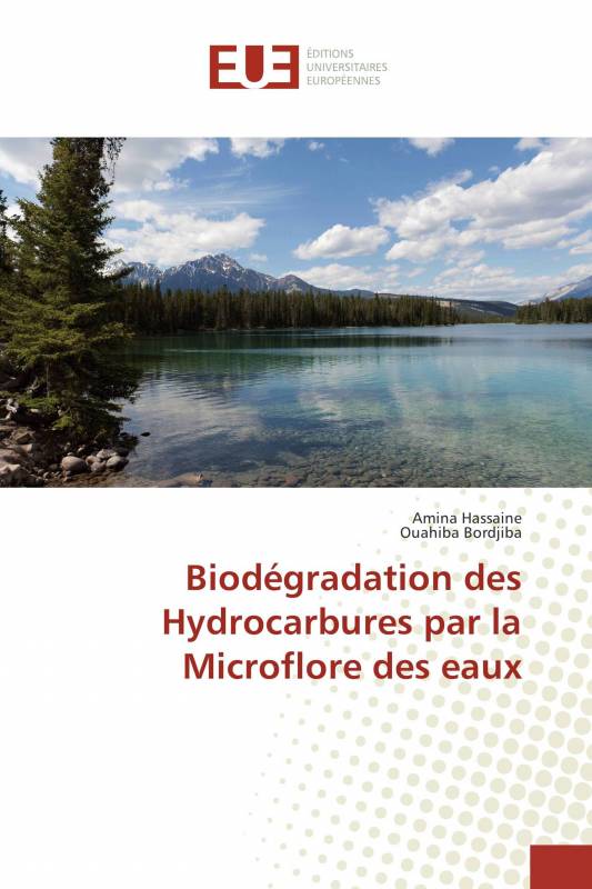 Biodégradation des Hydrocarbures par la Microflore des eaux