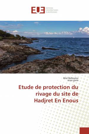 Etude de protection du rivage du site de Hadjret En Enous