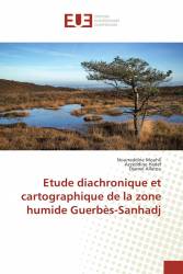 Etude diachronique et cartographique de la zone humide Guerbès-Sanhadj