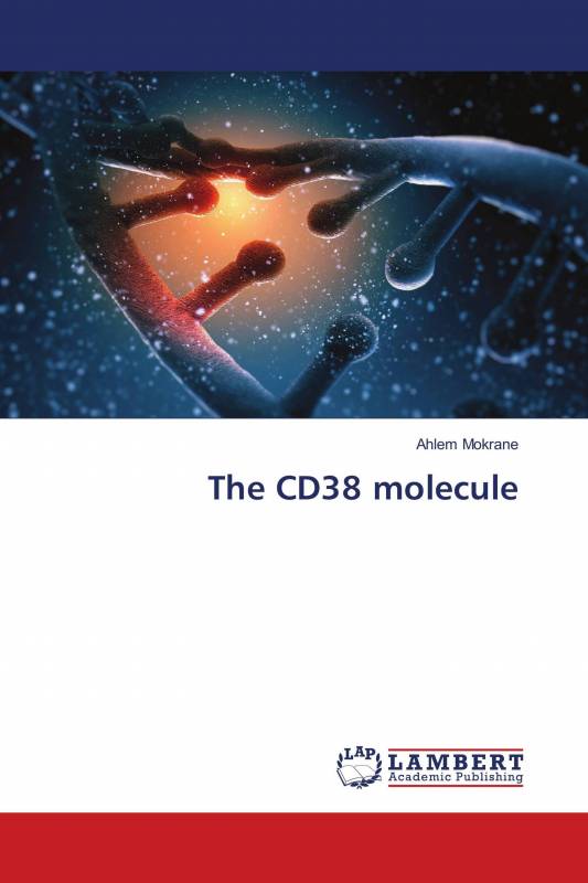 The CD38 molecule