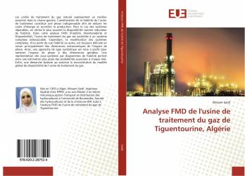 Analyse FMD de l'usine de traitement du gaz de Tiguentourine, Algérie