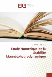 Étude Numérique de la Stabilité Magnétohydrodynamique