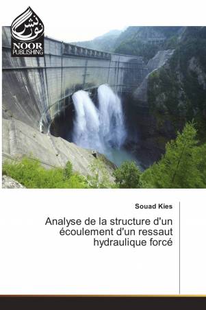 Analyse de la structure d'un écoulement d'un ressaut hydraulique forcé