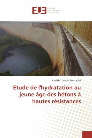 Etude de l'hydratation au jeune âge des bétons à hautes résistances
