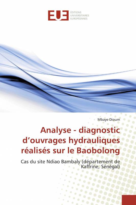 Analyse - diagnostic d’ouvrages hydrauliques réalisés sur le Baobolong