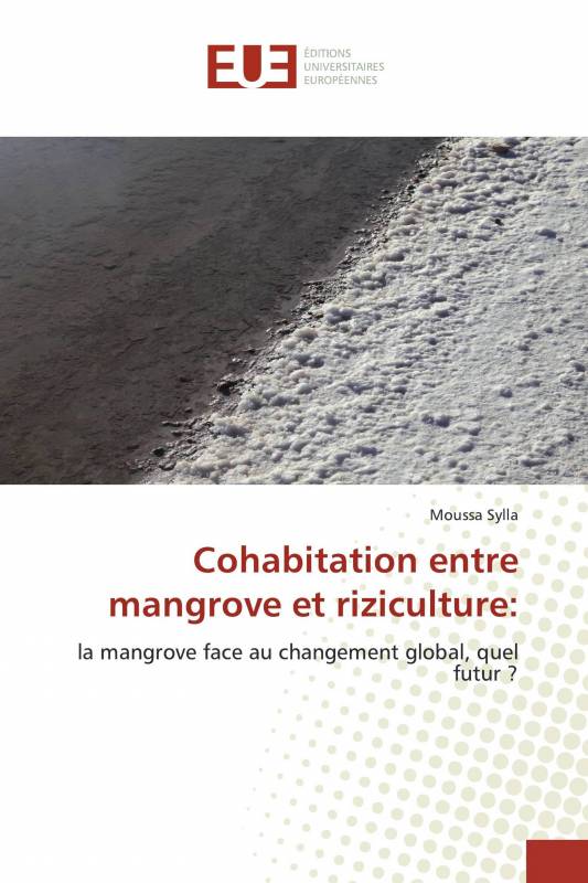 Cohabitation entre mangrove et riziculture: