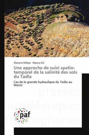 Une approche de suivi spatio-temporel de la salinité des sols du Tadla