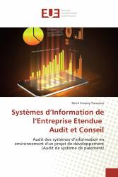 Systèmes d’Information de l’Entreprise Etendue Audit et Conseil