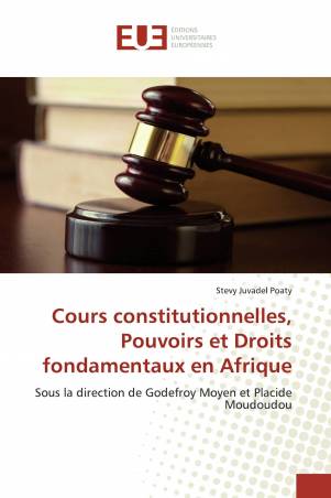 Cours constitutionnelles, Pouvoirs et Droits fondamentaux en Afrique