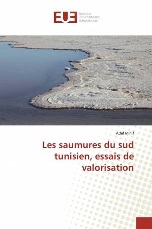 Les saumures du sud tunisien, essais de valorisation