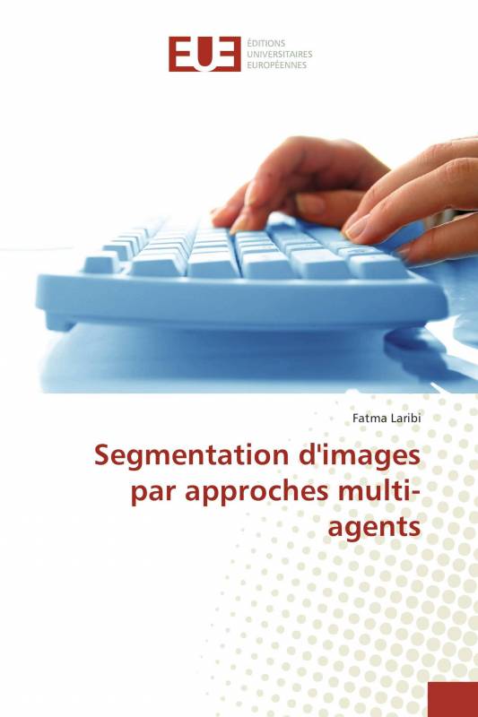 Segmentation d'images par approches multi-agents