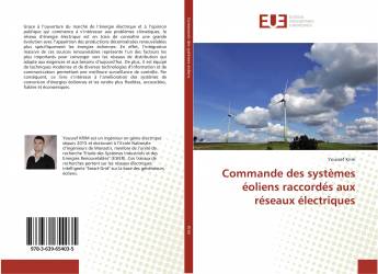 Commande des systèmes éoliens raccordés aux réseaux électriques