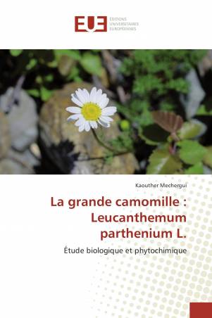 La grande camomille : Leucanthemum parthenium L.