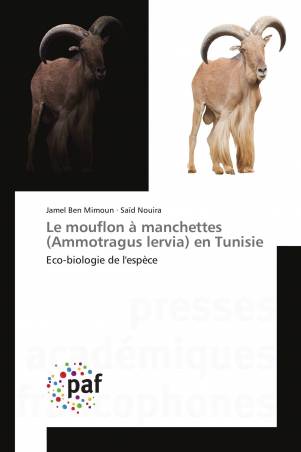 Le mouflon à manchettes (Ammotragus lervia) en Tunisie