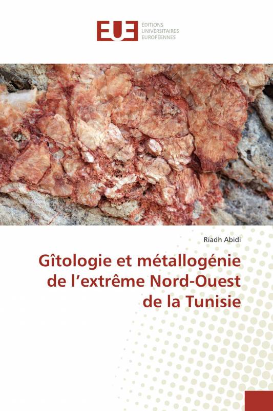 Gîtologie et métallogénie de l’extrême Nord-Ouest de la Tunisie