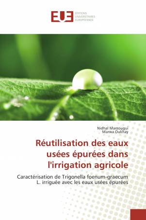 Réutilisation des eaux usées épurées dans l&#039;irrigation agricole