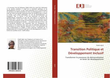Transition Politique et Développement Inclusif