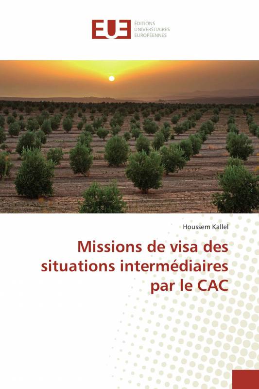 Missions de visa des situations intermédiaires par le CAC
