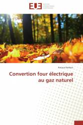 Convertion four électrique au gaz naturel