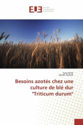 Besoins azotés chez une culture de blé dur "Triticum durum"