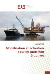 Modélisation et activation pour les puits non éruptives