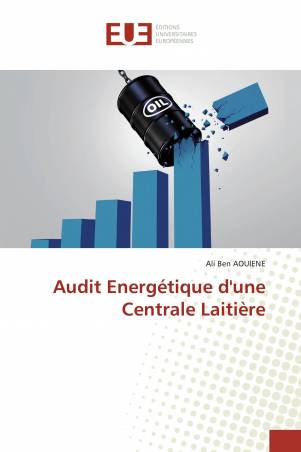 Audit Energétique d&#039;une Centrale Laitière
